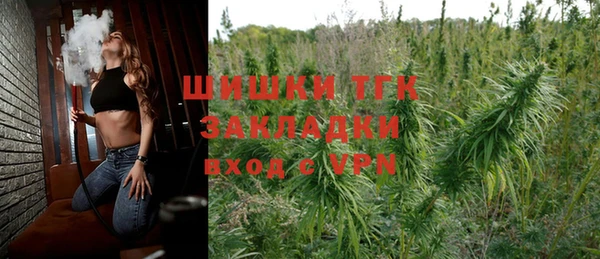 индика Верея