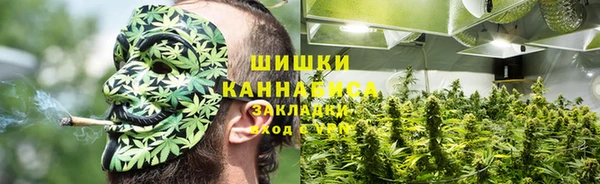 индика Верея