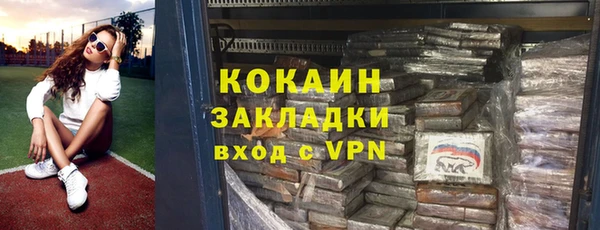 индика Верея
