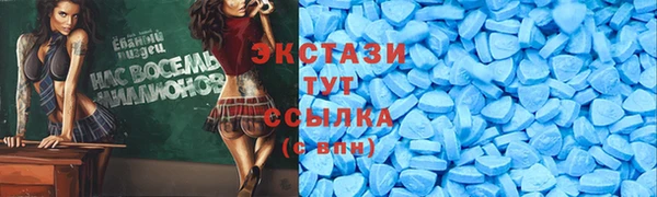 индика Верея