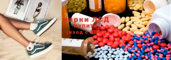 индика Верея