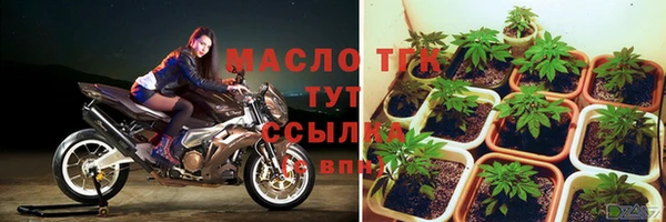 индика Верея