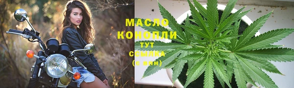 индика Верея