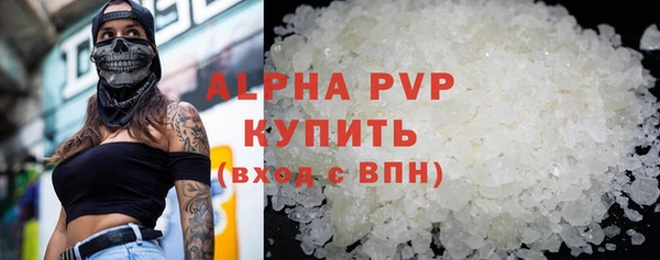 индика Верея